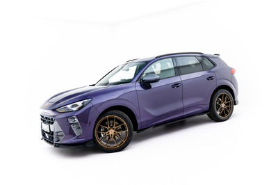 Dokładki Progów Cupra Terramar Mk1